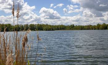 Naherholungsgebiet Stausee