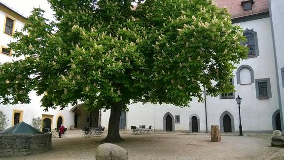 13 Museum Ein bunter Liederstrauß Foto Museum