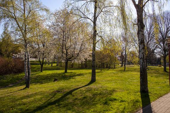 Carolapark im Frühling