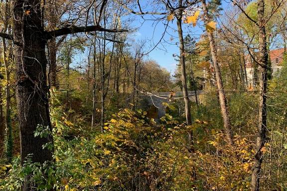 Blick auf die Hirschgrundbrücke 