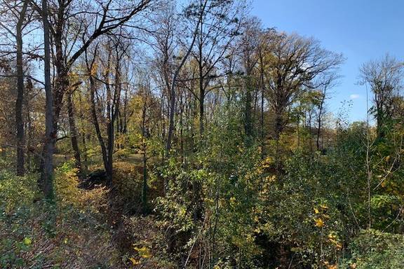 Blick auf den Schlosspark