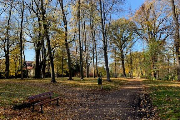 Herbststimmung im Schlosspark