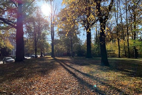 Herbststimmung im Schlosspark 