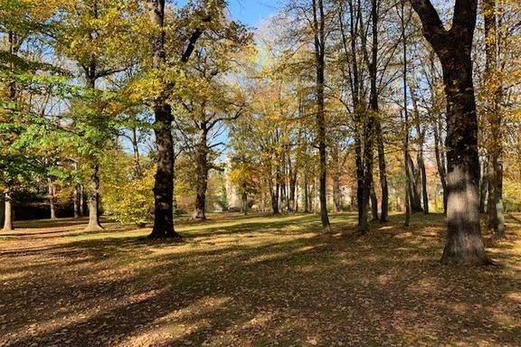 Herbst im Schlosspark