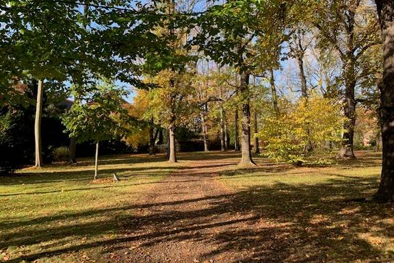 Herbst im Schlosspark