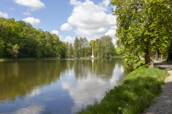 Gründelpark im Sommer