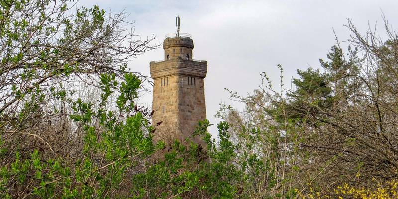 Bismarckturm im Frühling 